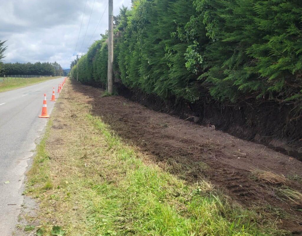 Hedge and tree pruning services to clear out drainage and waterways