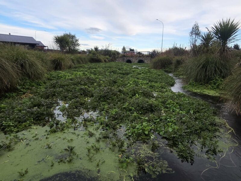Three Willows Contracting offer Open Drain Clearing Services in the Canterbury area