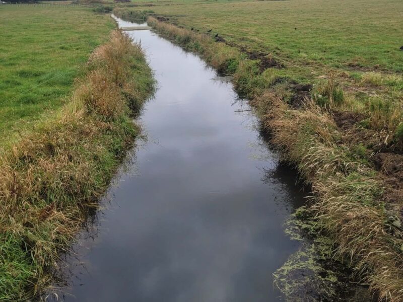 River and drainage clearance services in Canterbury