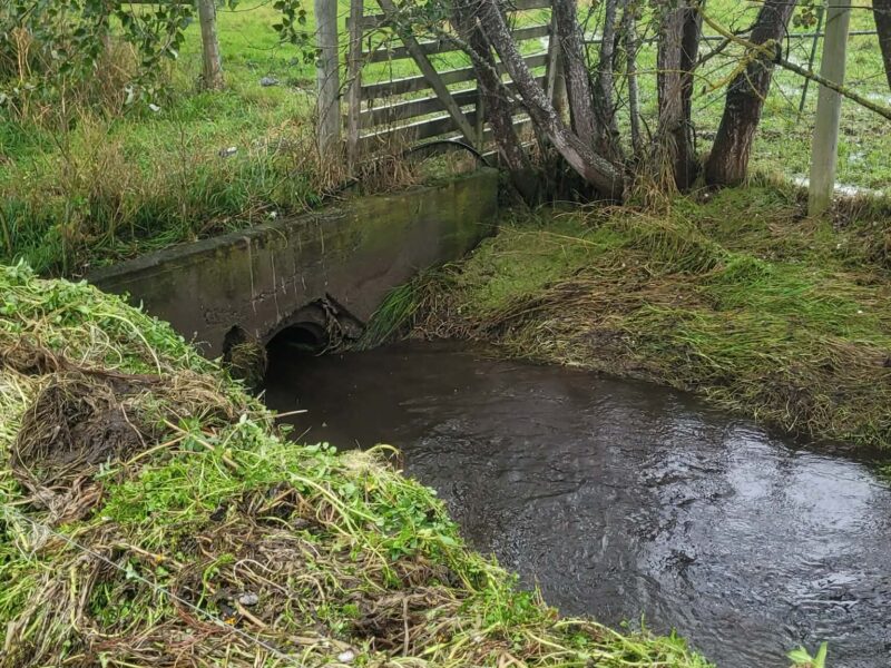 Drainage and culvert clearing in North Canterbury